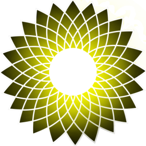 Profile photo of Andrés Ibarra